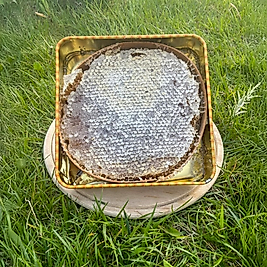 Karakovan Petek Bal (1500gr)